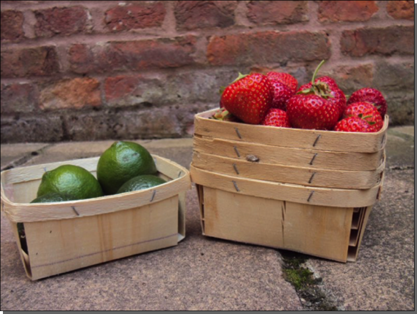 Small soft fruit punnets

